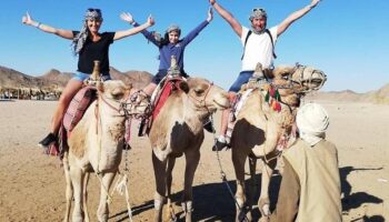 Super Safari (Quad, Jeep, Camel and Buggy Safari with BBQ Dinner)