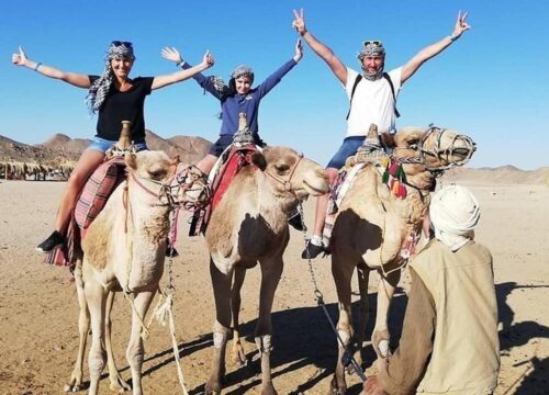 Super Safari (Quad, Jeep, Camel and Buggy Safari with BBQ Dinner)