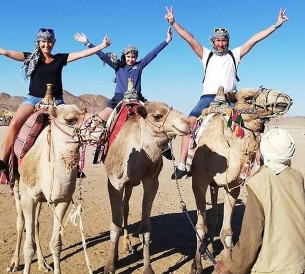 Super Safari (Quad, Jeep, Camel and Buggy Safari with BBQ Dinner)